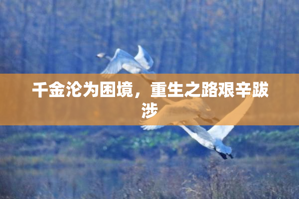 千金沦为困境，重生之路艰辛跋涉