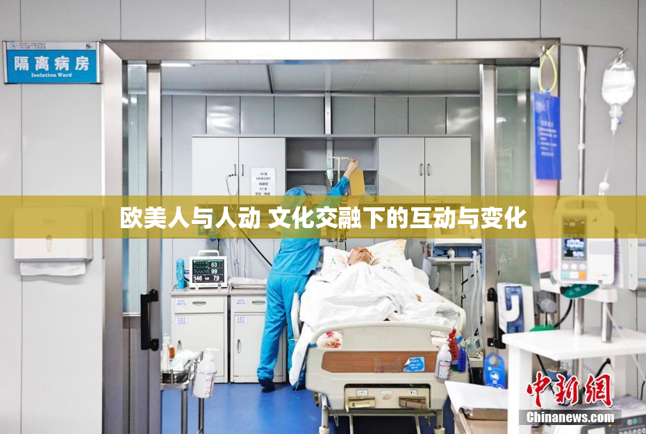 欧美人与人动 文化交融下的互动与变化