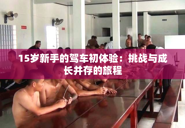 15岁新手的驾车初体验：挑战与成长并存的旅程