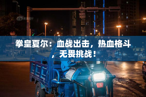 拳皇夏尔：血战出击，热血格斗，无畏挑战！