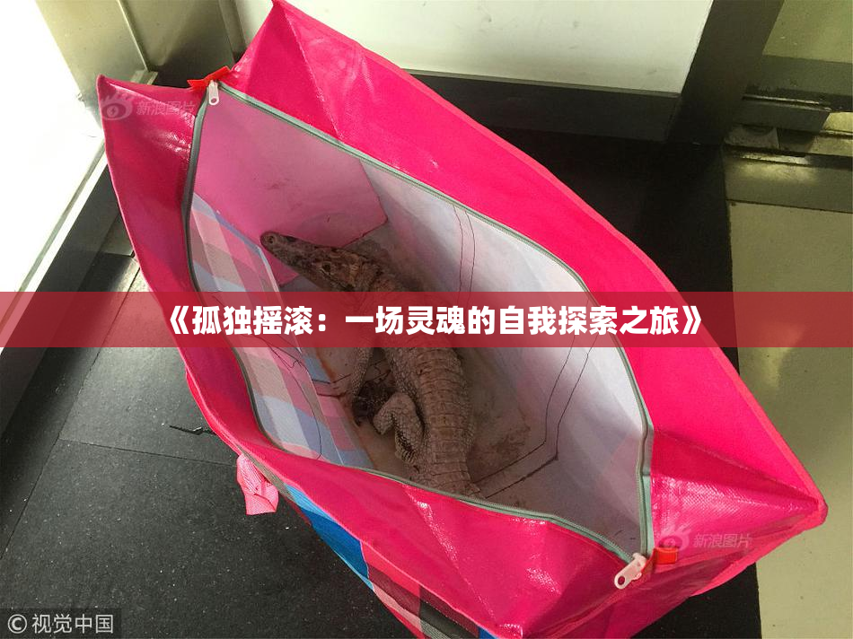 《孤独摇滚：一场灵魂的自我探索之旅》