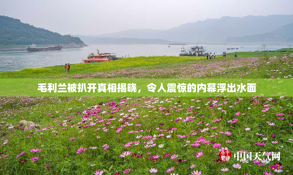 毛利兰被扒开真相揭晓，令人震惊的内幕浮出水面