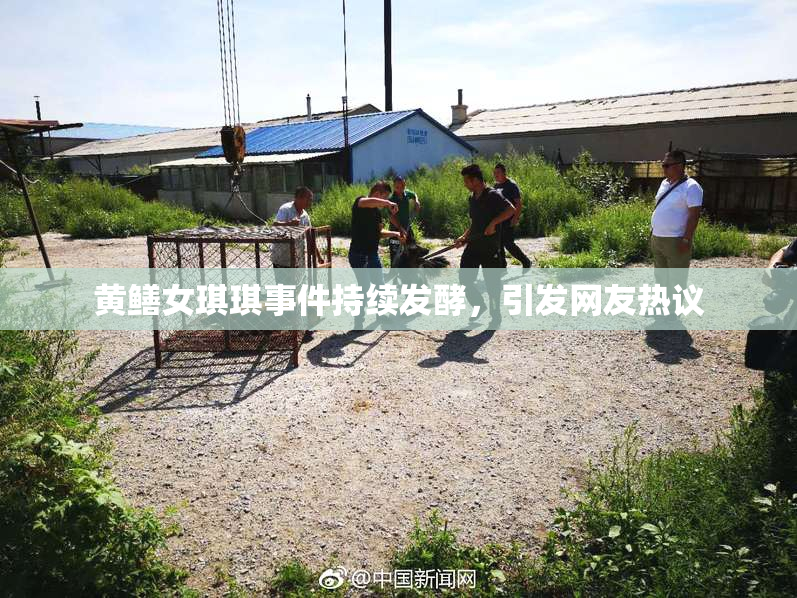 黄鳝女琪琪事件持续发酵，引发网友热议