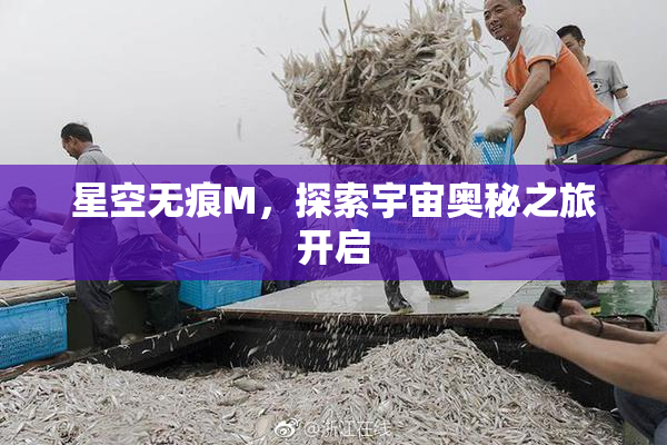 星空无痕M，探索宇宙奥秘之旅开启