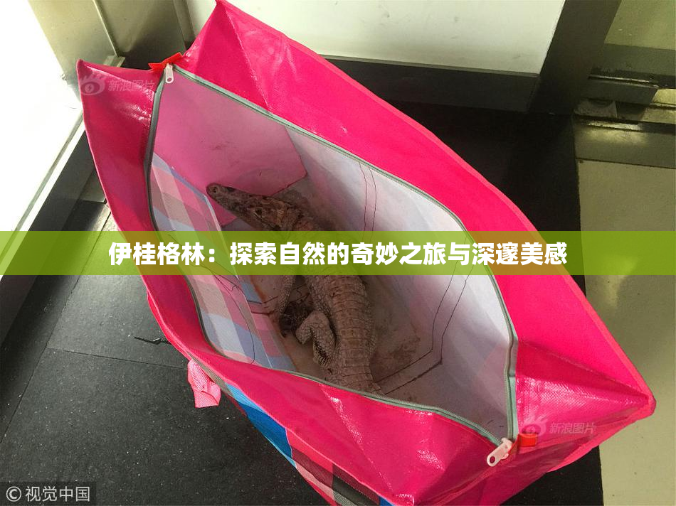 伊桂格林：探索自然的奇妙之旅与深邃美感