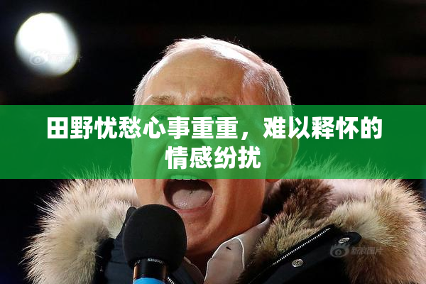 田野忧愁心事重重，难以释怀的情感纷扰