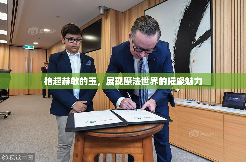 抬起赫敏的玉，展现魔法世界的璀璨魅力