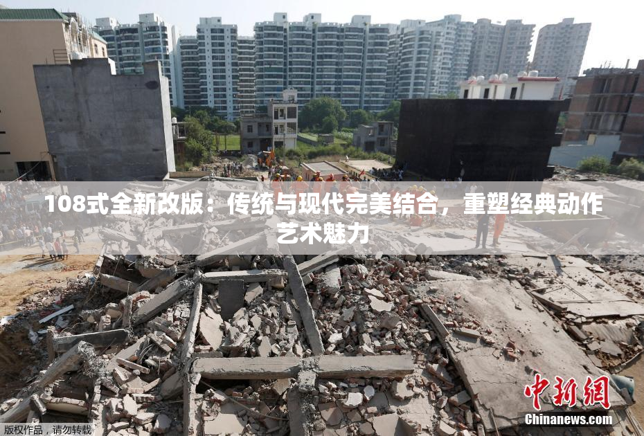 108式全新改版：传统与现代完美结合，重塑经典动作艺术魅力