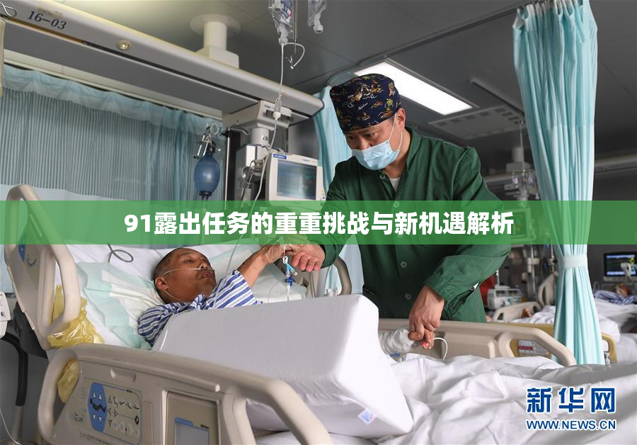 91露出任务的重重挑战与新机遇解析
