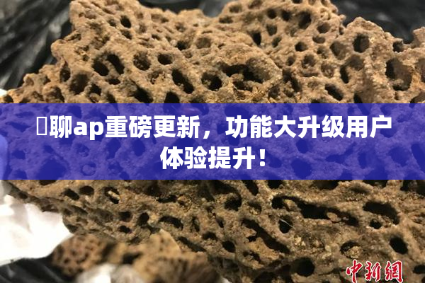 躶聊ap重磅更新，功能大升级用户体验提升！