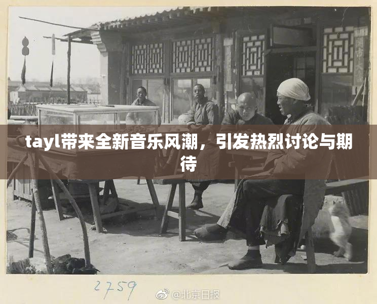 tayl带来全新音乐风潮，引发热烈讨论与期待