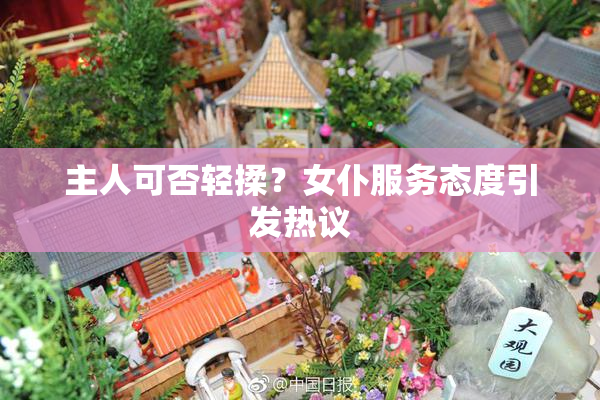 主人可否轻揉？女仆服务态度引发热议