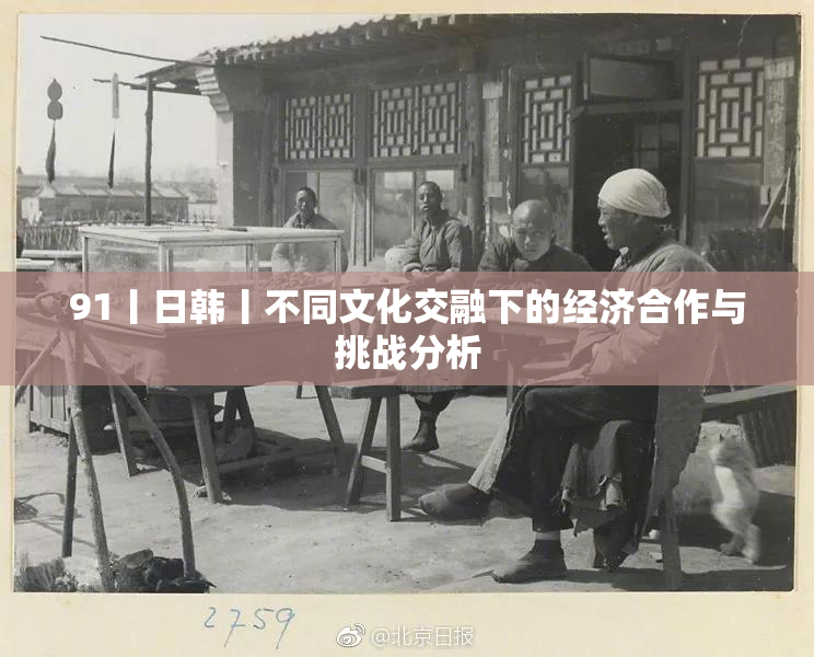 91丨日韩丨不同文化交融下的经济合作与挑战分析