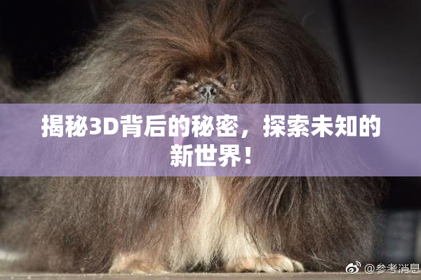 揭秘3D背后的秘密，探索未知的新世界！
