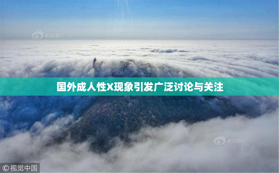 国外成人性X现象引发广泛讨论与关注