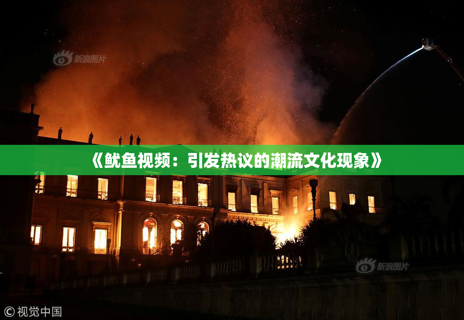《鱿鱼视频：引发热议的潮流文化现象》