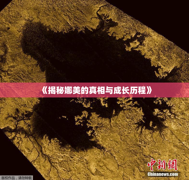 《揭秘娜美的真相与成长历程》