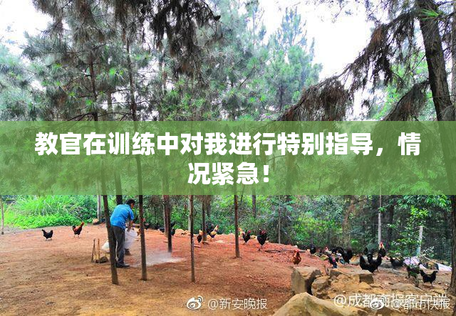 教官在训练中对我进行特别指导，情况紧急！