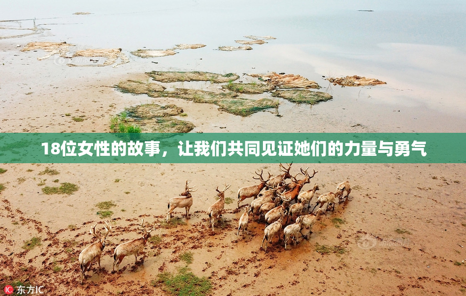 18位女性的故事，让我们共同见证她们的力量与勇气