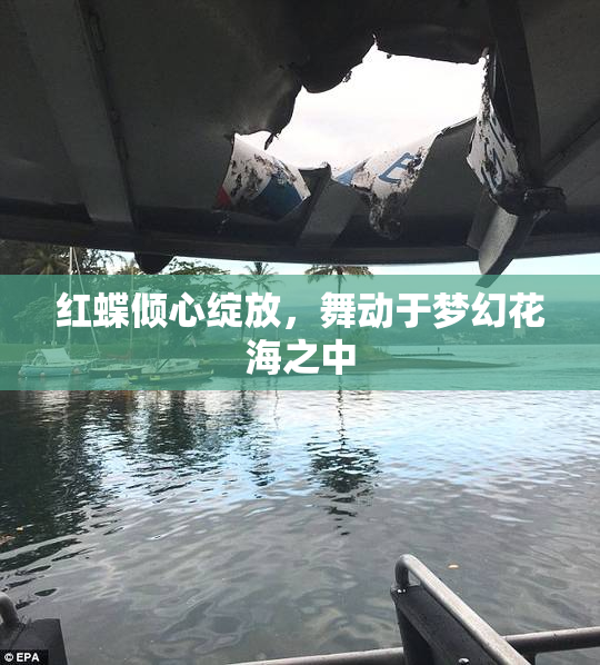 红蝶倾心绽放，舞动于梦幻花海之中