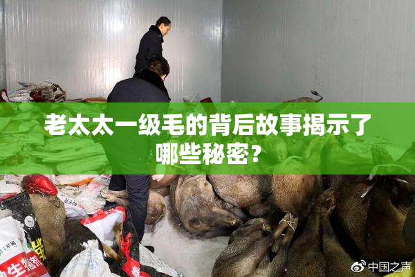 老太太一级毛的背后故事揭示了哪些秘密？