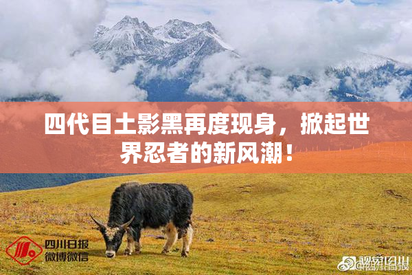 四代目土影黑再度现身，掀起世界忍者的新风潮！