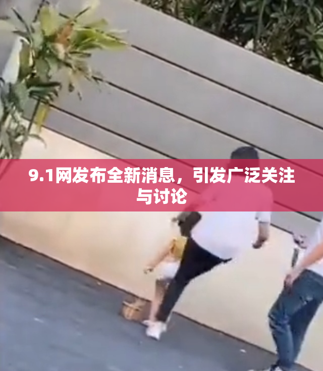 9.1网发布全新消息，引发广泛关注与讨论