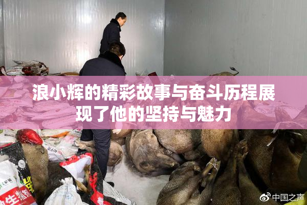 浪小辉的精彩故事与奋斗历程展现了他的坚持与魅力