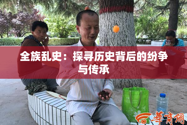 全族乱史：探寻历史背后的纷争与传承