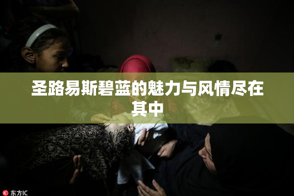 圣路易斯碧蓝的魅力与风情尽在其中