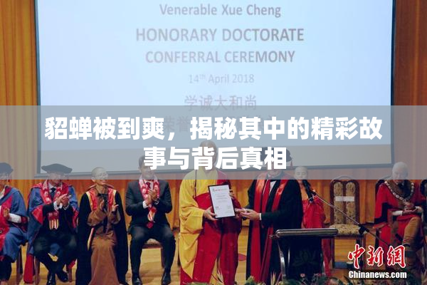 貂蝉被到爽，揭秘其中的精彩故事与背后真相