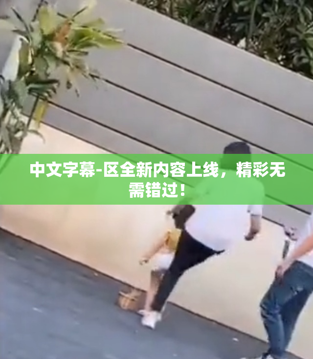 中文字幕-区全新内容上线，精彩无需错过！