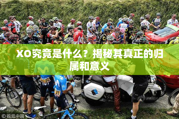 XO究竟是什么？揭秘其真正的归属和意义