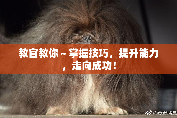 教官教你～掌握技巧，提升能力，走向成功！