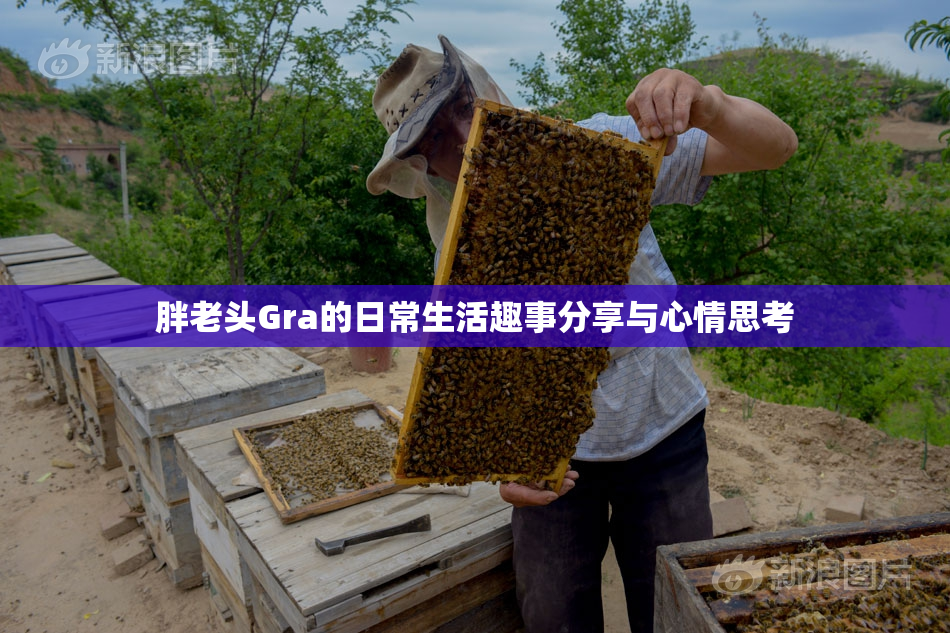 胖老头Gra的日常生活趣事分享与心情思考
