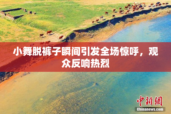 小舞脱裤子瞬间引发全场惊呼，观众反响热烈