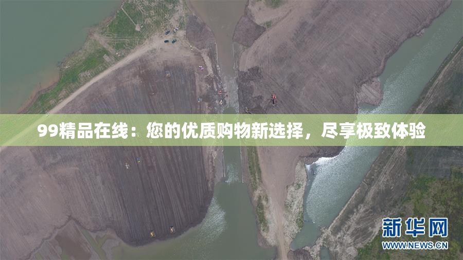 99精品在线：您的优质购物新选择，尽享极致体验