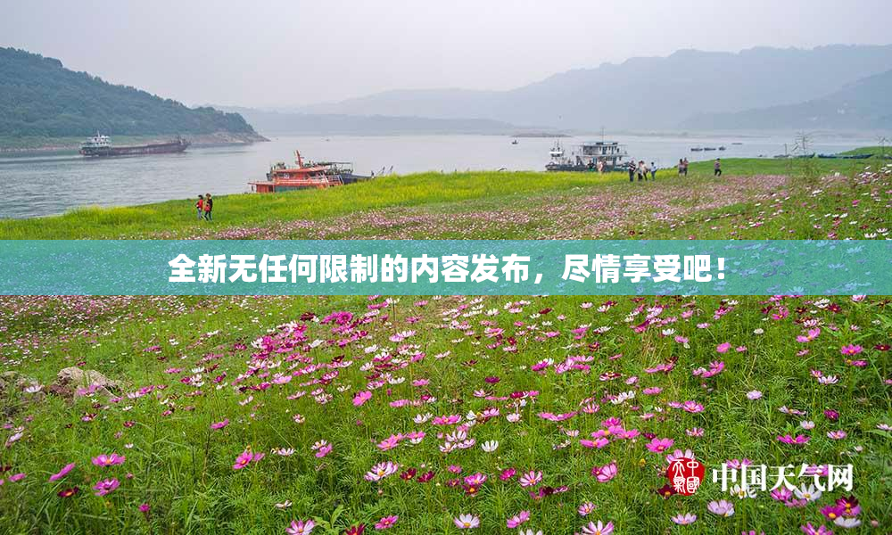 全新无任何限制的内容发布，尽情享受吧！