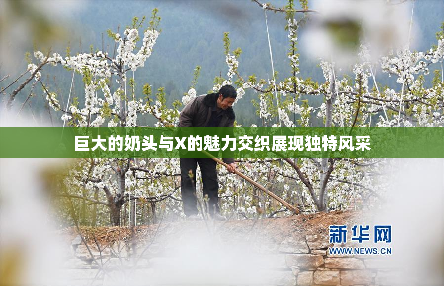 巨大的奶头与X的魅力交织展现独特风采