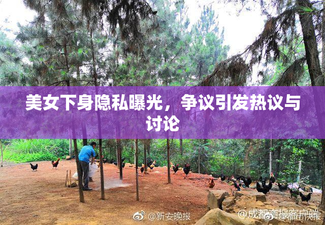 美女下身隐私曝光，争议引发热议与讨论