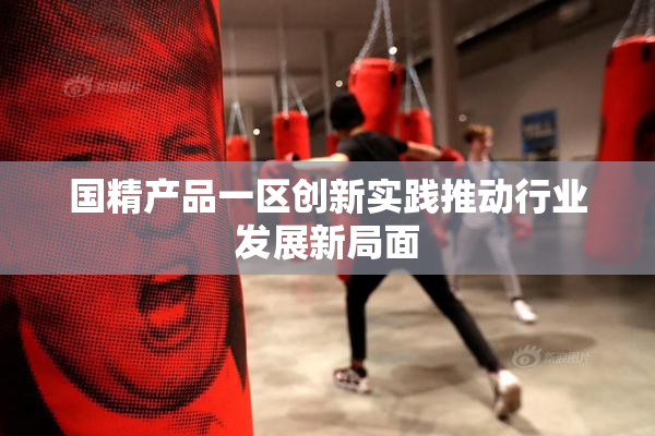 国精产品一区创新实践推动行业发展新局面