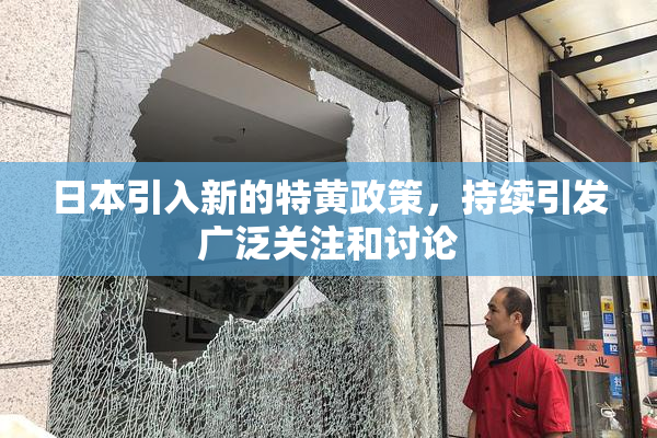 日本引入新的特黄政策，持续引发广泛关注和讨论