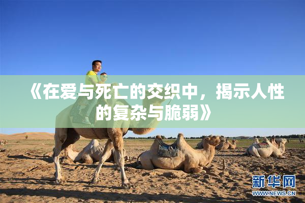 《在爱与死亡的交织中，揭示人性的复杂与脆弱》