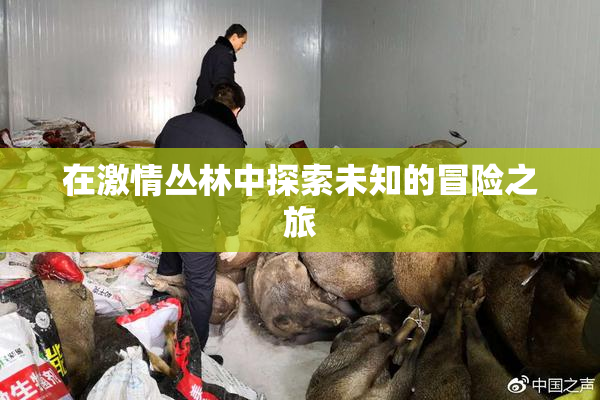 在激情丛林中探索未知的冒险之旅
