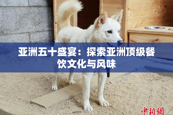 亚洲五十盛宴：探索亚洲顶级餐饮文化与风味