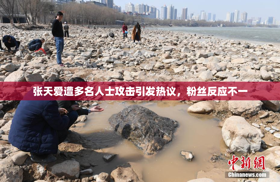 张天爱遭多名人士攻击引发热议，粉丝反应不一