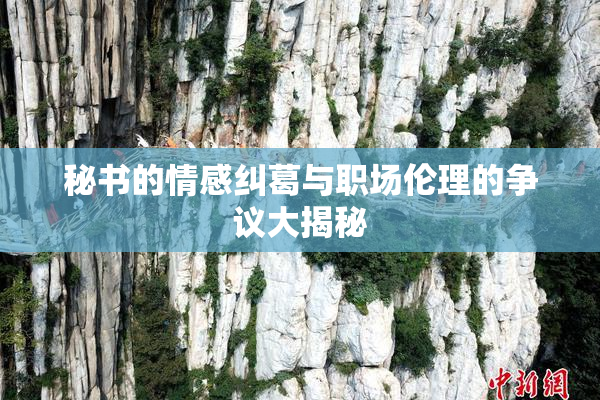 秘书的情感纠葛与职场伦理的争议大揭秘