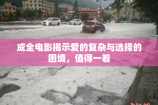 成全电影揭示爱的复杂与选择的困境，值得一看