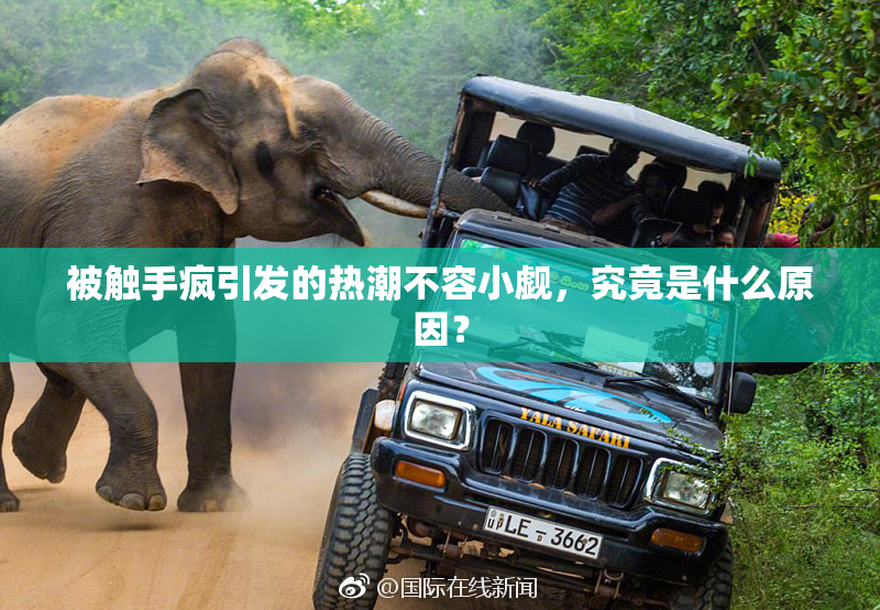 被触手疯引发的热潮不容小觑，究竟是什么原因？