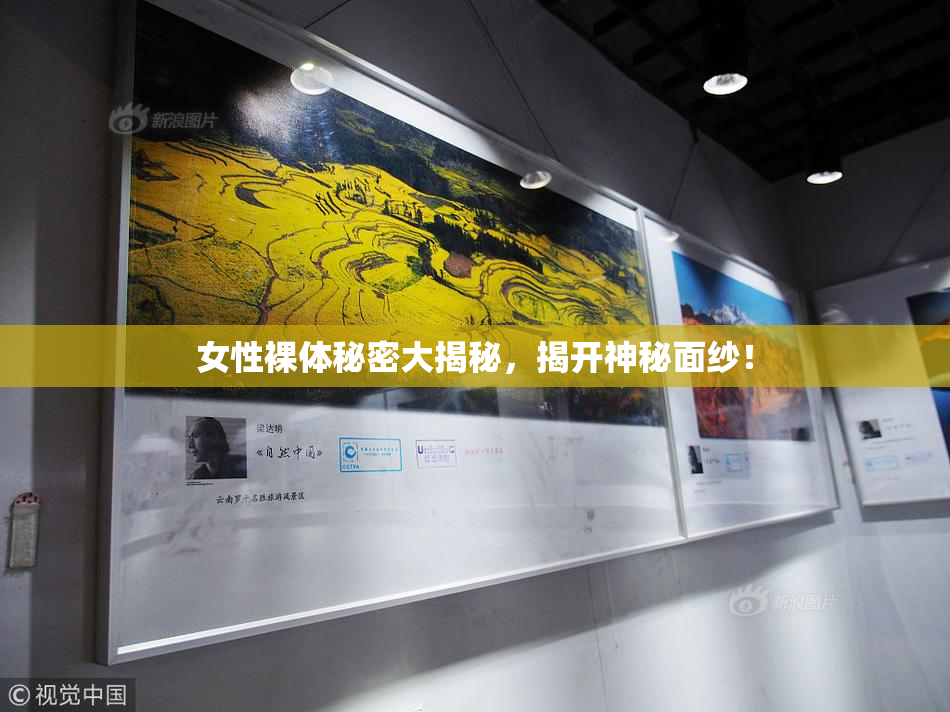 女性裸体秘密大揭秘，揭开神秘面纱！
